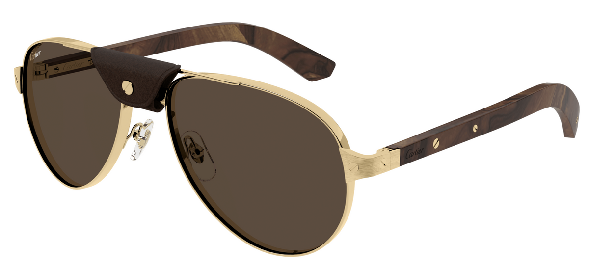 Lunettes de soleil Cartier Santos CT0495S - Doré (004)