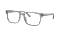https://cdn1.visiofactory.com/150277-medium/emporio-armani-ea3250u-6202-54-17-gris-transparent.jpg