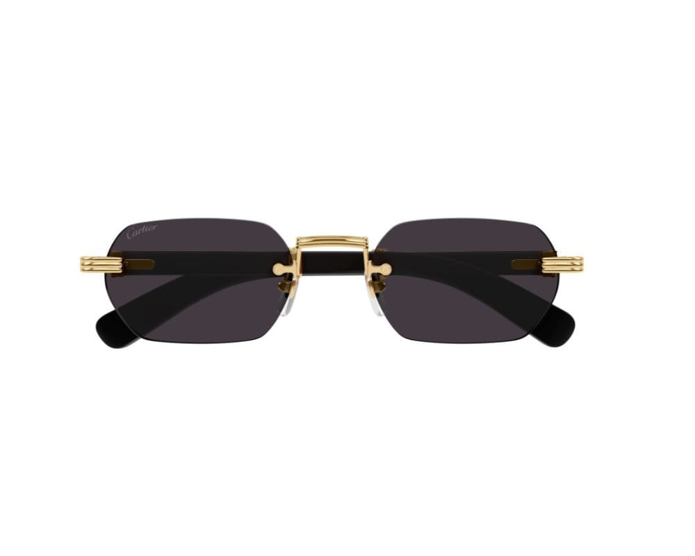 Lunettes de soleil Cartier Corne et Bois Première CT0362S