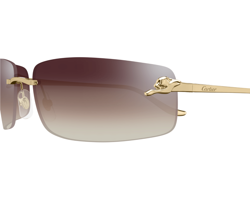 Cartier CT0503S