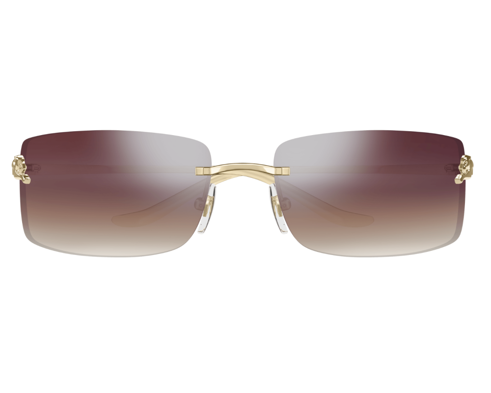Cartier CT0503S
