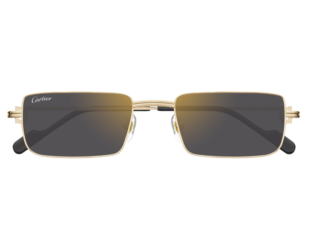 Cartier CT0501S