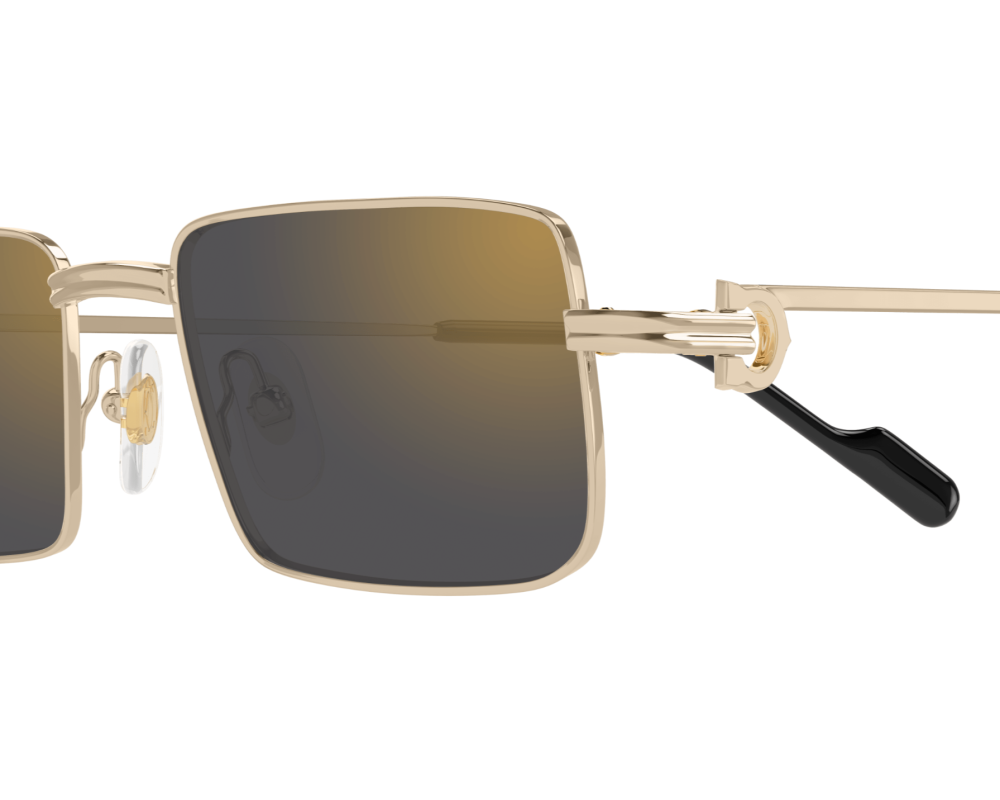 Cartier CT0501S