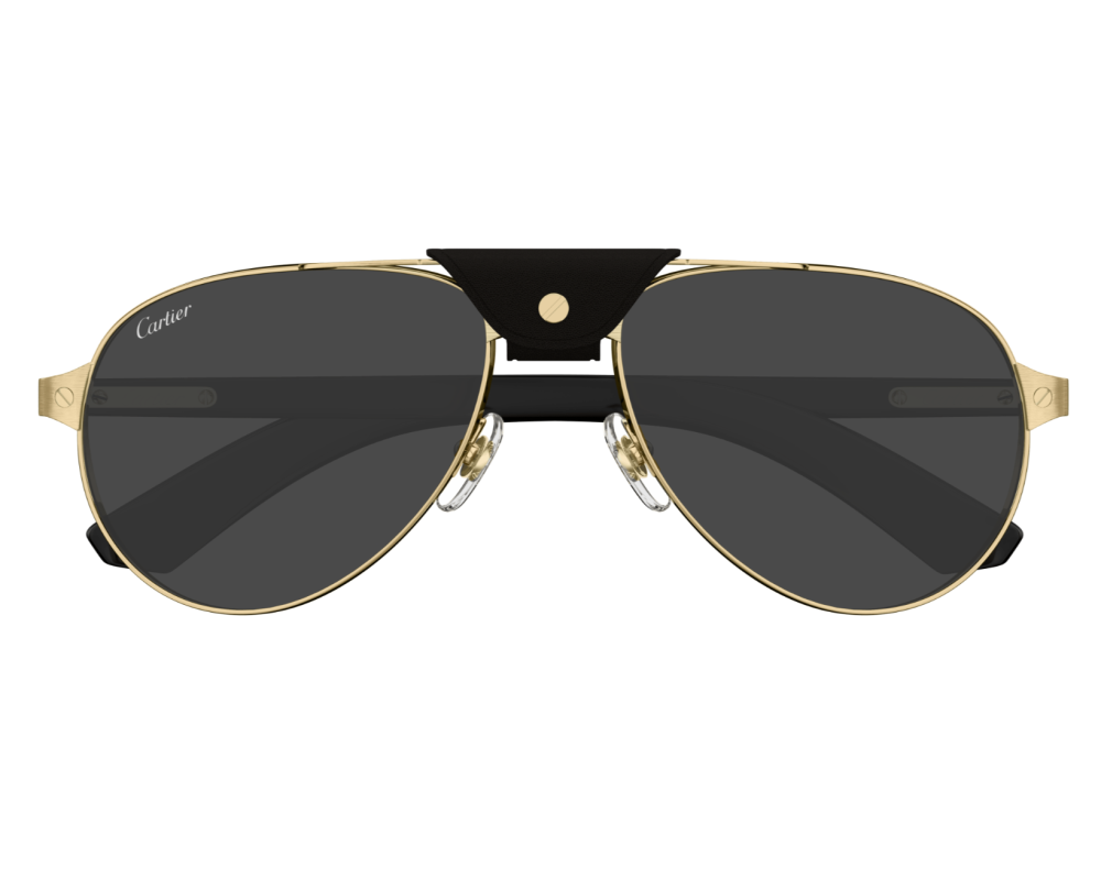 Cartier CT0495S