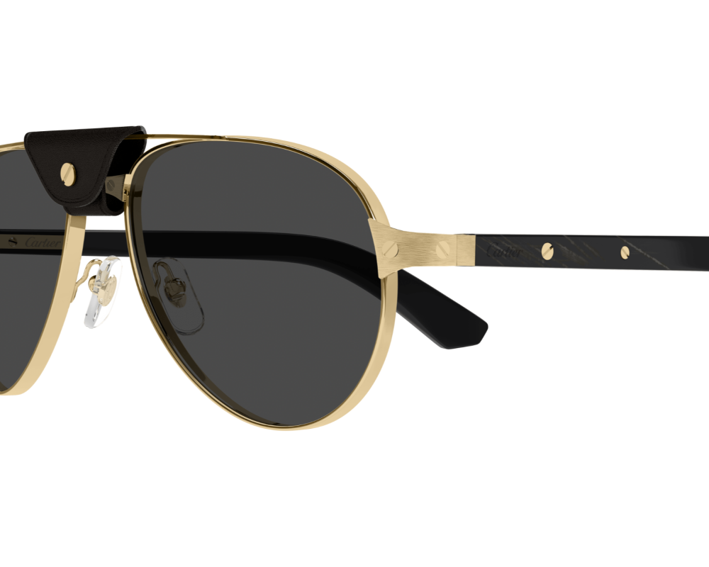 Cartier CT0495S