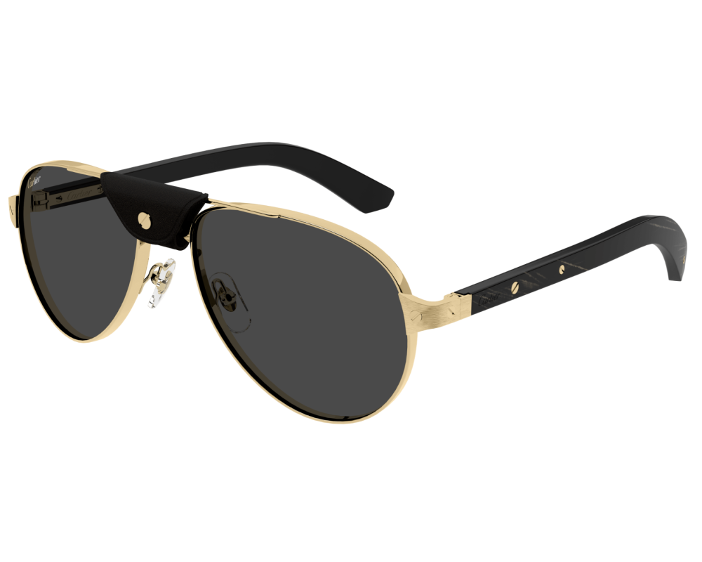 Cartier CT0495S