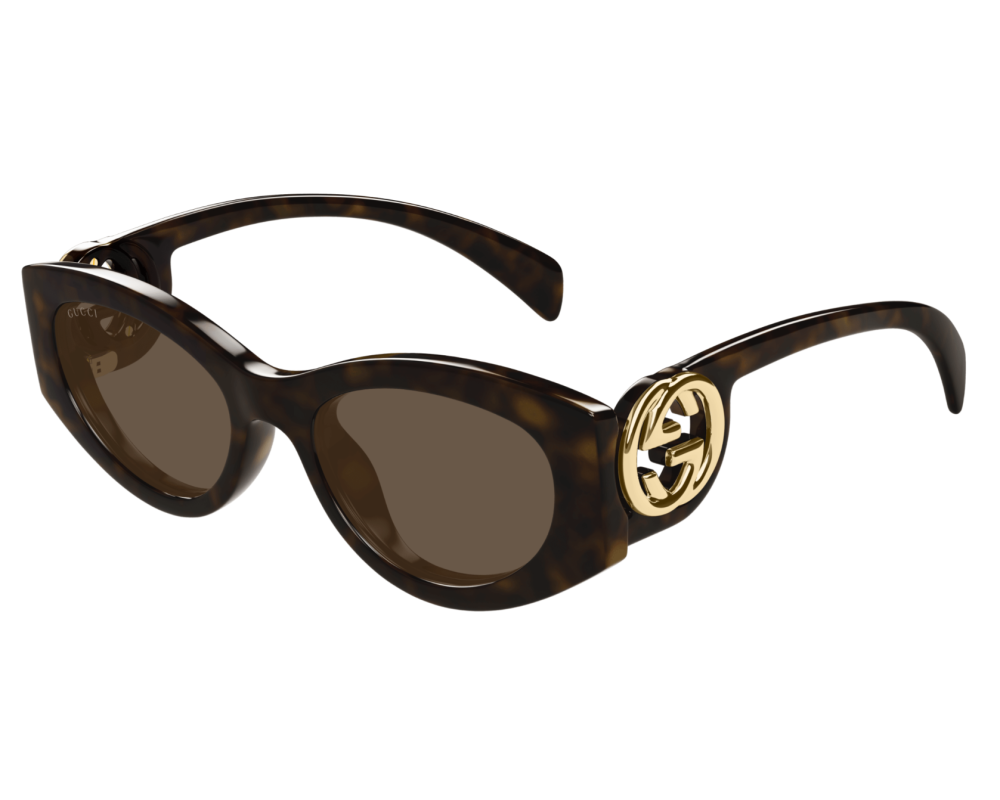 Lunettes de soleil Gucci GG Logo GG1691S Noir - détail des branches