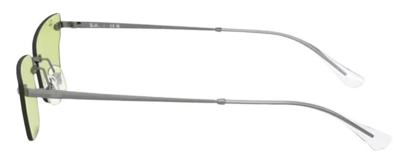 Lunettes de Soleil Ray-Ban Anh RB3731