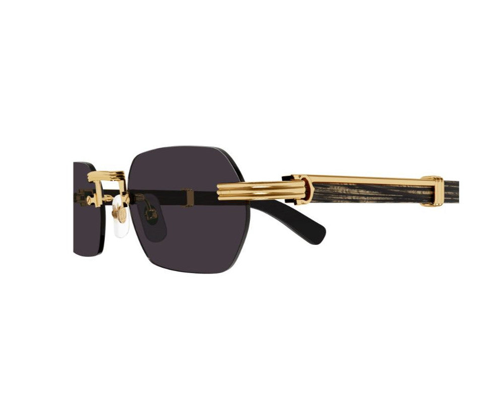 Lunettes de soleil Cartier Corne et Bois Première CT0362S