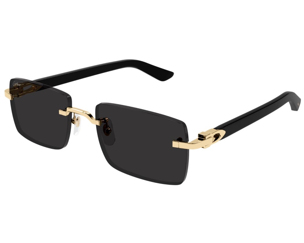 Cartier CT0579S