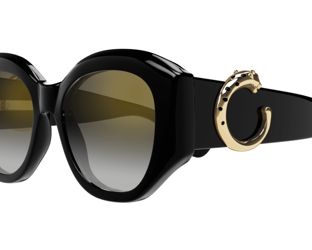 Cartier CT0502S