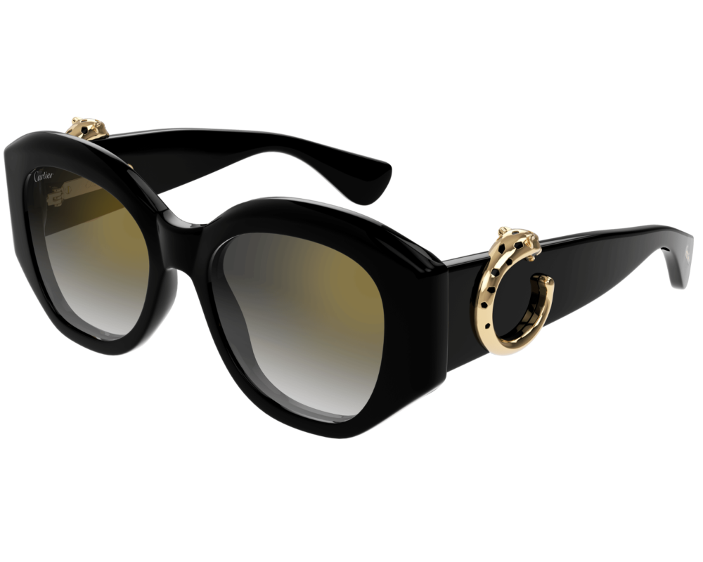 Cartier CT0502S