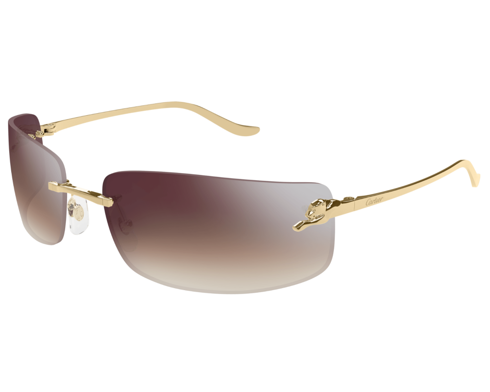 Cartier CT0503S