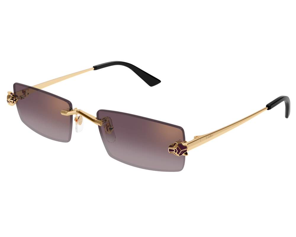 Cartier CT0598S