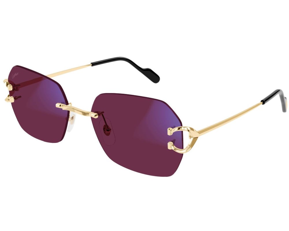 Cartier Piccadilly CT0416S Photochromic Sunglasses