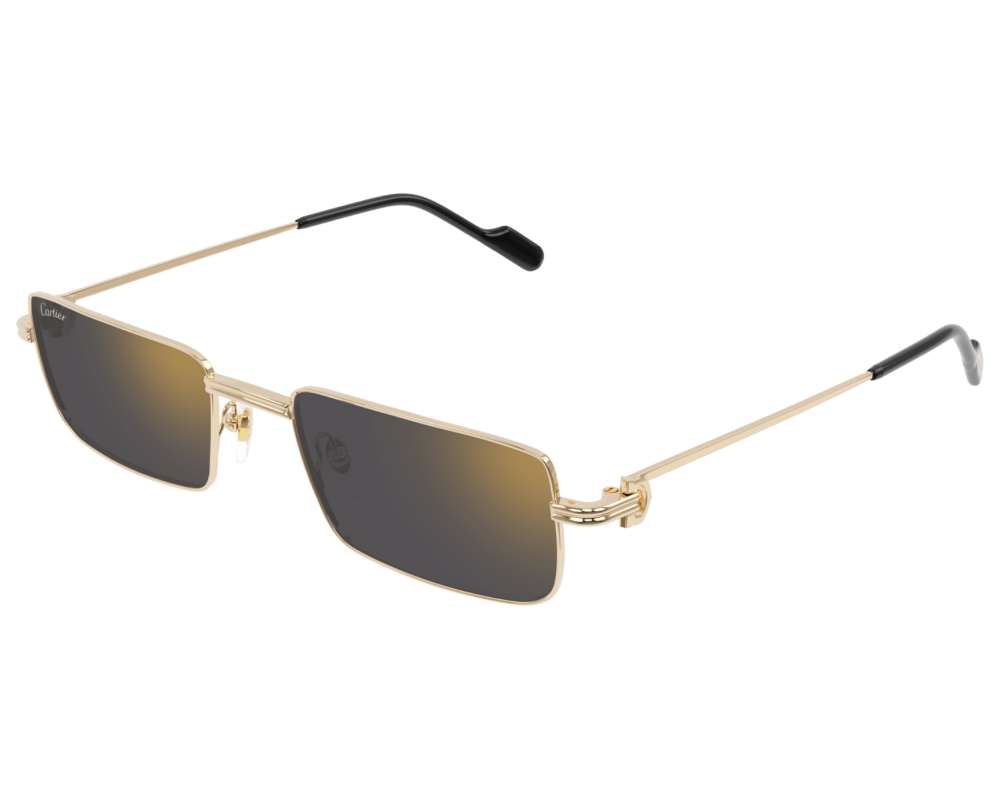 Cartier CT0501S