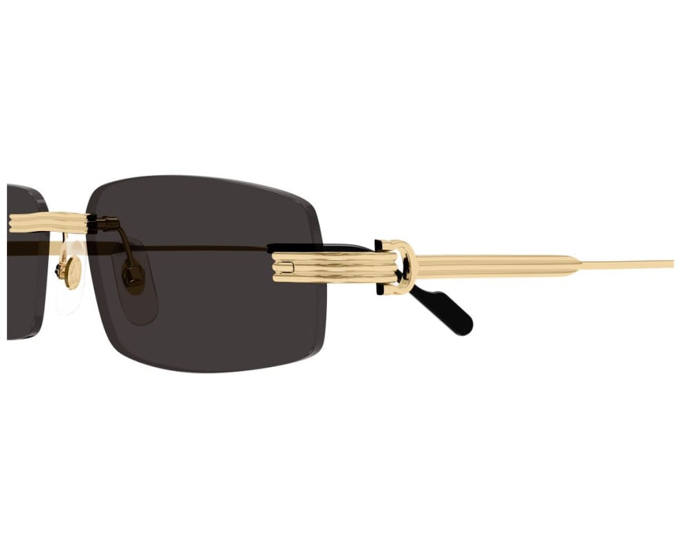 Cartier CT0535S