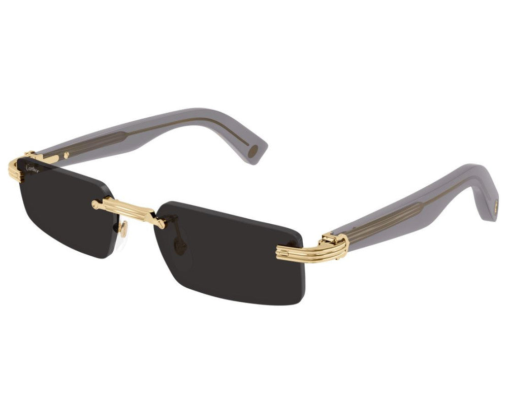 Cartier CT0537S