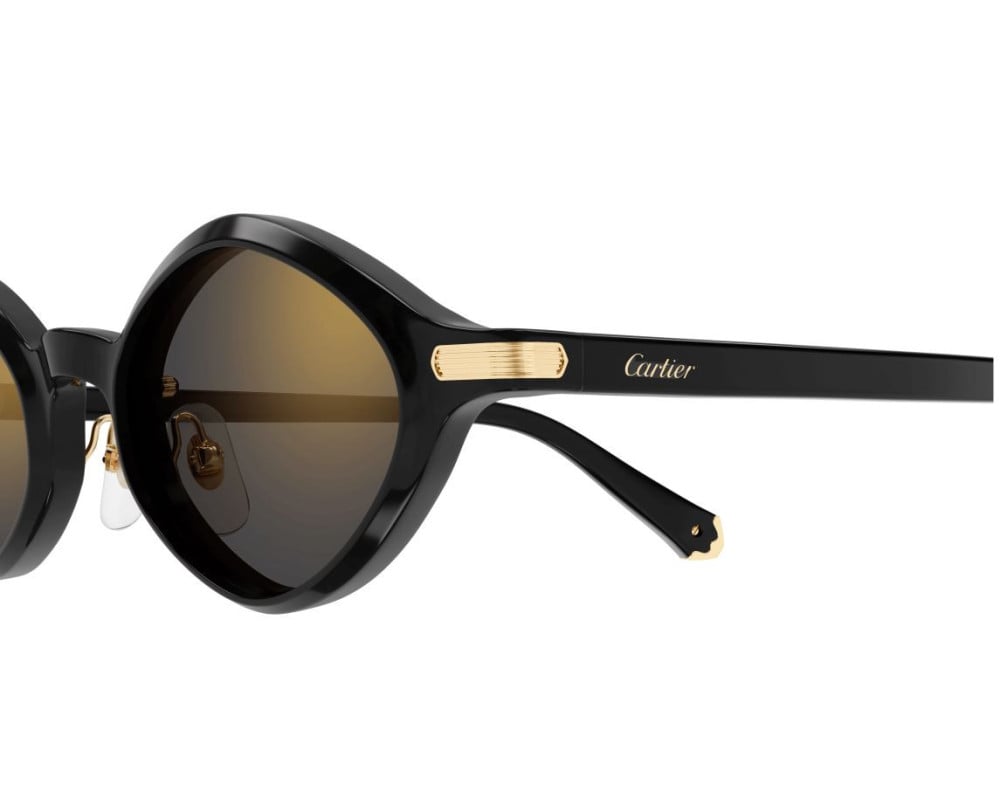 Cartier CT0540S