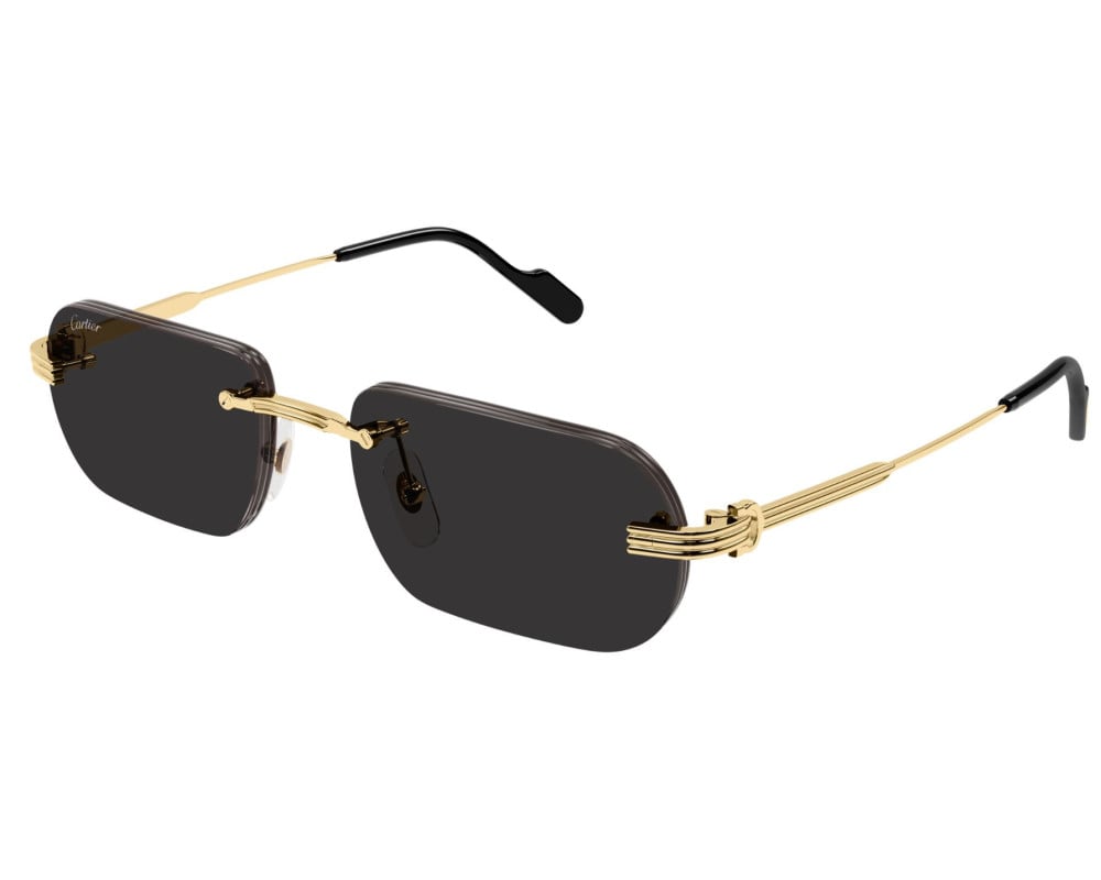 Cartier CT0577S