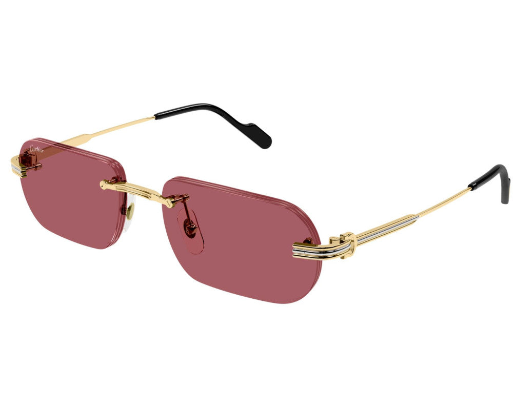 Cartier CT0577S