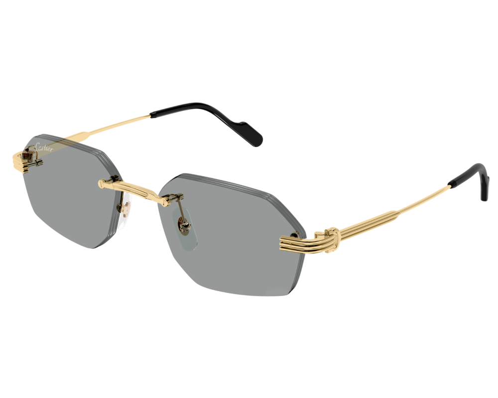 Cartier CT0616S