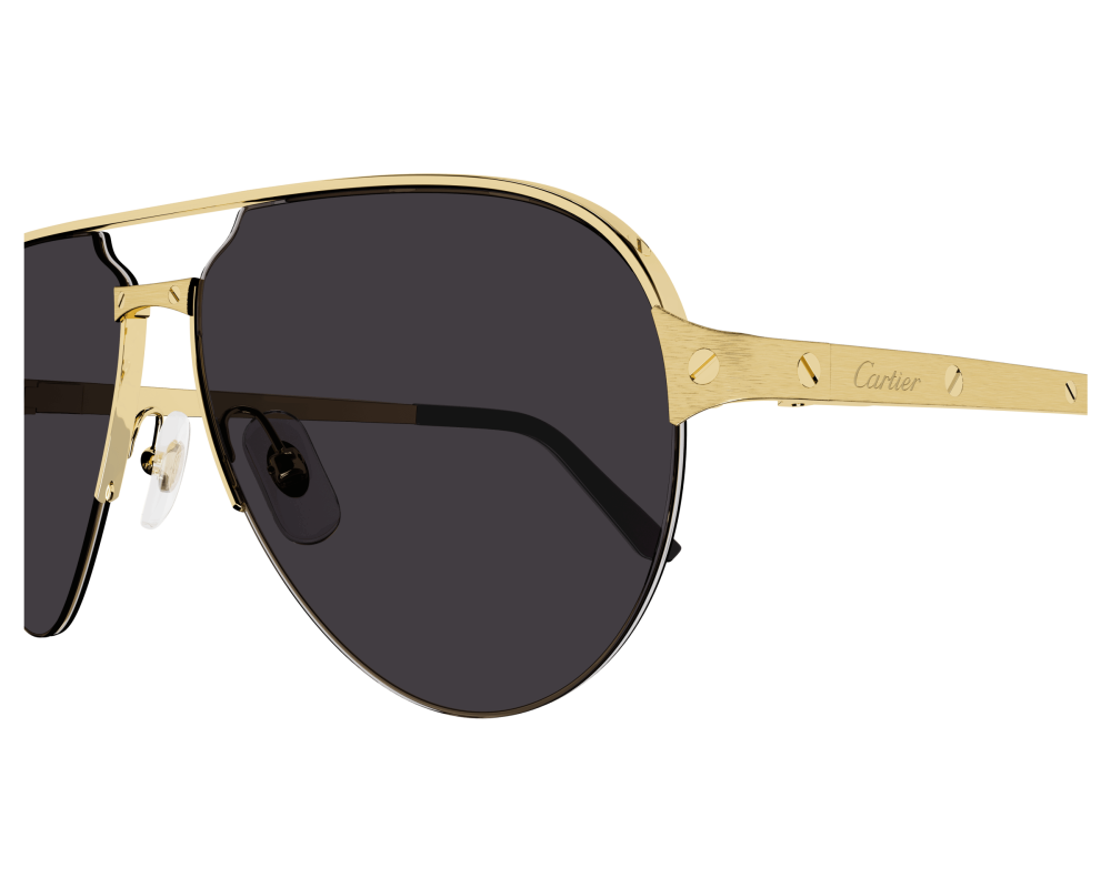 Lunettes de soleil Cartier Santos CT0386S