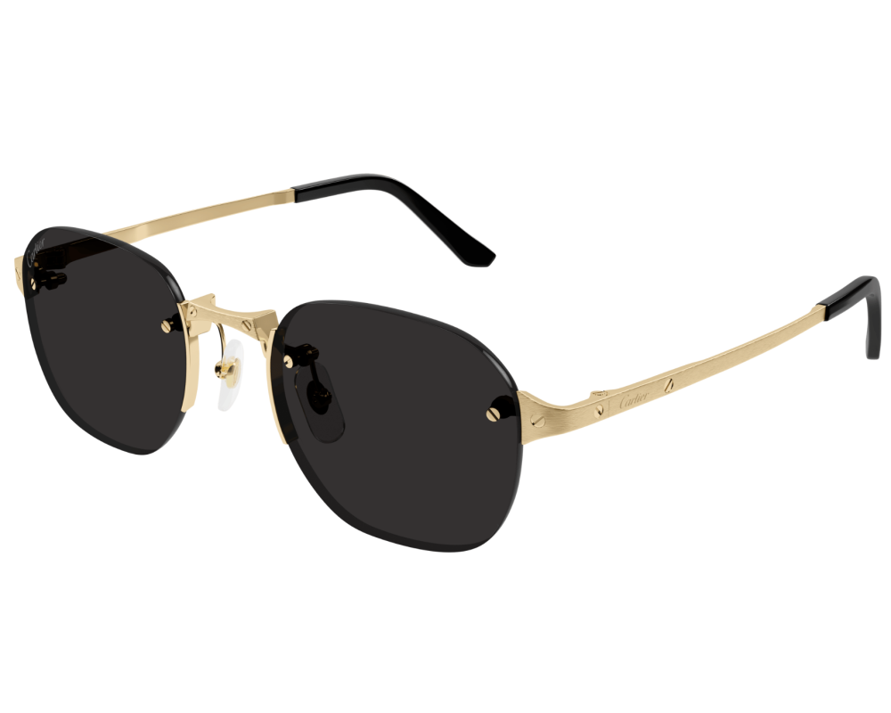 Lunettes de soleil Cartier Santos CT0459S