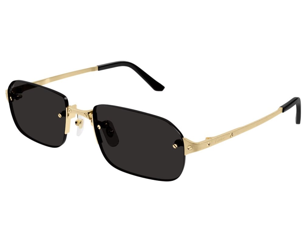Lunettes de soleil Cartier Santos CT0460S
