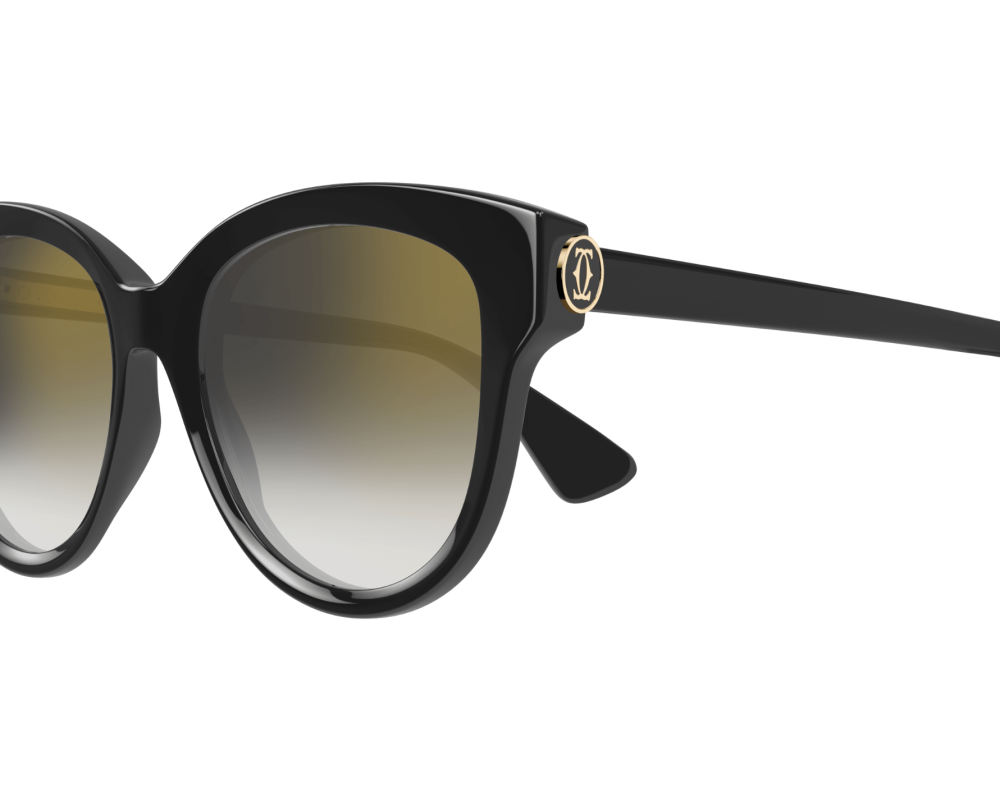 Cartier CT0506S