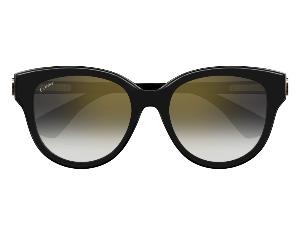 Cartier CT0506S