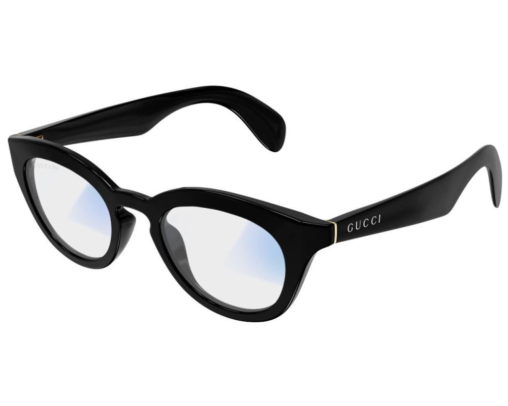 Gucci Institutional Logo GG1934S Sunglasses