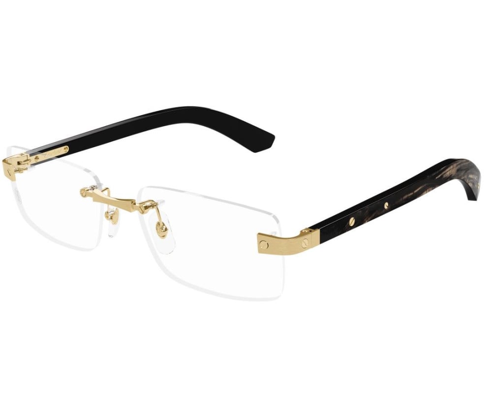 Cartier CT0513O