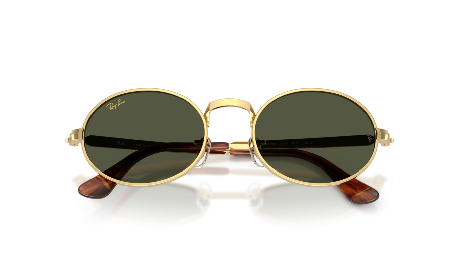 Lunettes de soleil Ray-Ban Asap Rocky RB3931 001/31 54-21 Arista